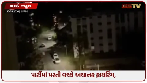 VIDEO: સ્વિટ્ઝર્લેન્ડ/ રેવ પાર્ટીમાં ગોળીબાર, DJ બૂથ નીચે છુપાયા લોકો, 1નું મોત, 5 ઘાયલ