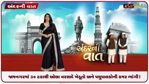 VIDEO: જામનગરમાં ૩૦ ટકાથી ઓછા વરસાદે ખેડૂતો અને પશુપાલકોની કમર ભાંગી!