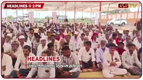 VIDEO: HEADLINE 2.00 PM / આપ નેતાઓના ઉપવાસ યથાવત, તહેવારમાં ભેળસેળિયા તત્વો બેફામ