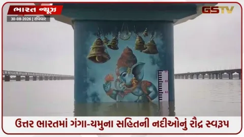 VIDEO: ઉત્તર ભારતમાં ભારે વરસાદથી જળબંબાકાર: પ્રયાગરાજમાં સંગમ ક્ષેત્ર ડૂબ્યું, ચિત્રકૂટમાં પુલનો એપ્રોચ રોડ ધોવાયો