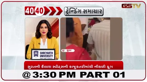 VIDEO: સુરતની કૈલાશ સ્વીટ્સની કાજુકતરીમાં ફૂગ