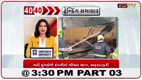 VIDEO: નવી મુંબઈની કંપનીમાં ભીષણ આગ