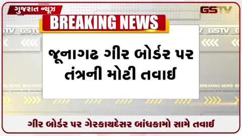 VIDEO: જૂનાગઢમાં ગીર બોર્ડર પર ગેરકાયદેસર રિસોર્ટ પર ડિમોલિશન