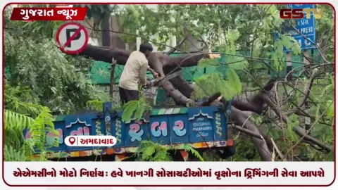 VIDEO: અમદાવાદ મ્યુનિસિપલ કોર્પોરેશનનો મોટો નિર્ણય: હવે ખાનગી સોસાયટીઓમાં વૃક્ષોના ટ્રિમિંગની સેવા આપશે