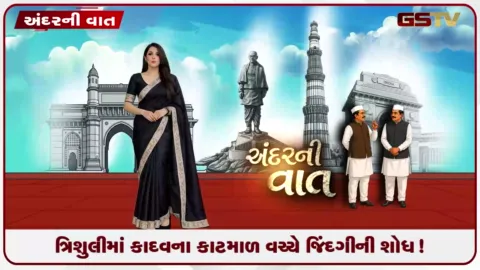 VIDEO: નેપાળમાં પ્રલયકારી પૂર, ત્રિશુલીમાં કાદવના કાટમાળ વચ્ચે જિંદગીની શોધ!