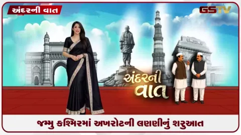 VIDEO: જમ્મુ-કશ્મિરમાં અખરોટની લણણીની શરુઆત, બૌધિક ડ્રાયફૂટ તરીકે અખરોટની ઓળખ