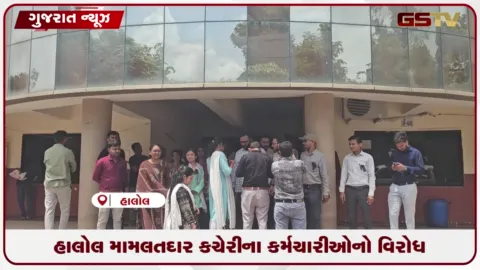 VIDEO: હાલોલ મામલતદાર કચેરીના કર્મચારીઓનો વિરોધ: નવી બદલી નીતિ સામે કાળી પટ્ટી ધારણ કરી ફરજ બજાવી