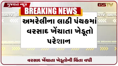 VIDEO: અમરેલીના લાઠી પંથકમાં વરસાદ ખેંચાતા કપાસના પાક પર સંકટ