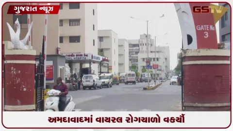 VIDEO: અમદાવાદમાં વાયરલ રોગચાળો વકર્યો: સ્વાઇન ફ્લુ, ડેન્ગ્યુ અને મેલેરિયાના કેસોમાં મોટો ઉછાળો