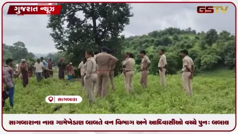 VIDEO: સાગબારાના નાલ ગામે ખેડાણ બાબતે વન વિભાગ અને આદિવાસીઓ વચ્ચે પુનઃ બબાલ