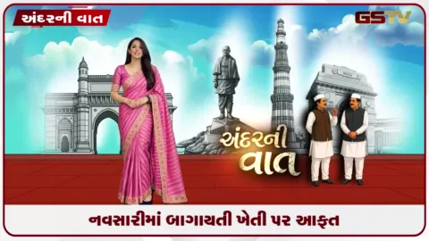 VIDEO: નવસારીમાં બાગાયતી ખેતી પર આફત, ૭૫૦૦ હેક્ટરના ચીકુના બગીચાઓમાં નુકસાન