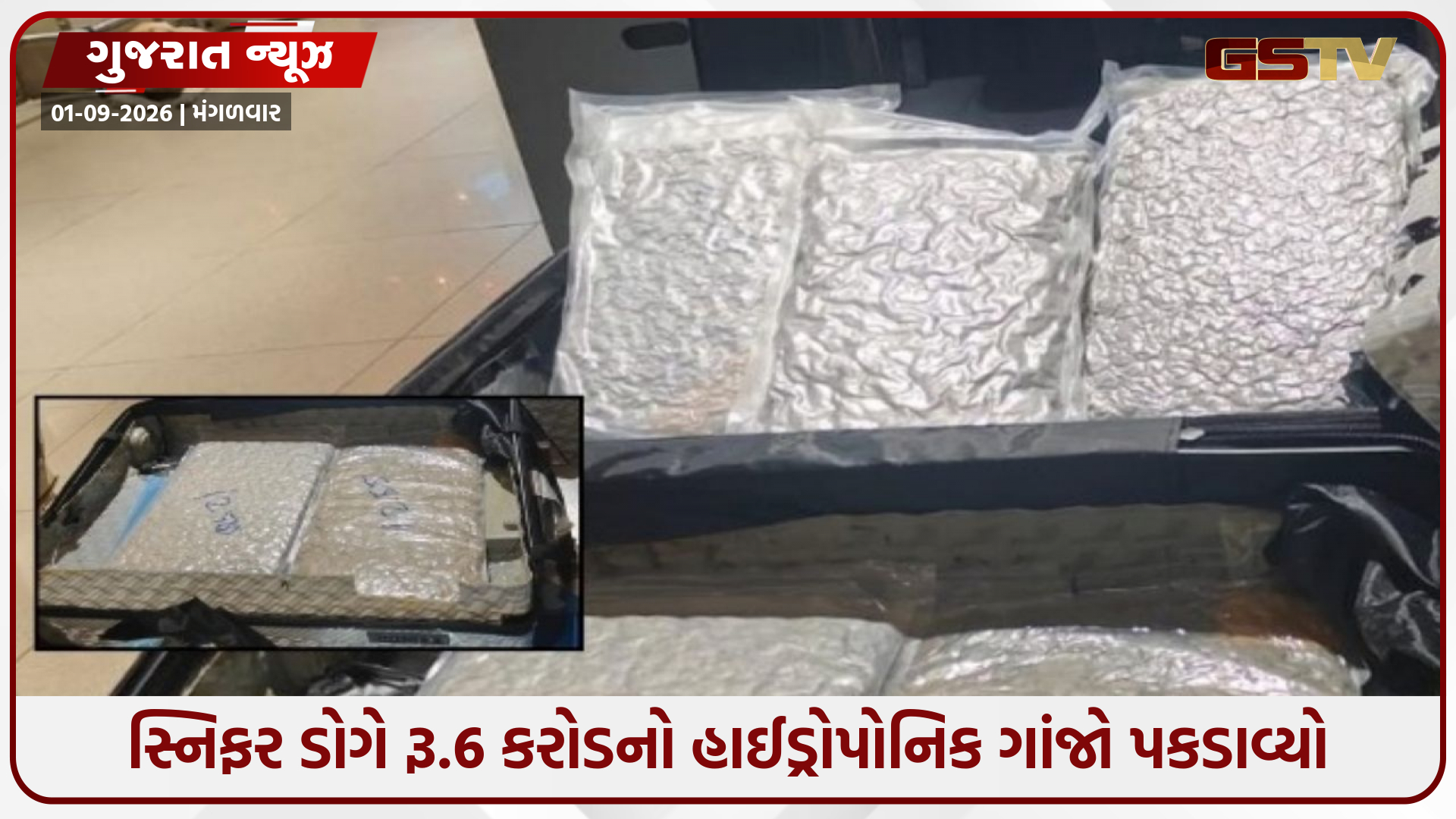 અમદાવાદ એરપોર્ટ પર સ્નિફર ડોગનો કમાલ! વિયેતનામથી આવેલી વિદેશી મહિલાની બેગમાંથી મળ્યો ₹6 કરોડનો હાઈડ્રોપોનિક ગાંજો