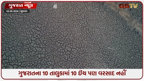 VIDEO: ગુજરાતના 10 તાલુકામાં 10 ઈંચ પણ વરસાદ નહીં, કચ્છ-દેવભૂમિ દ્વારકામાં વિકટ સ્થિતિ