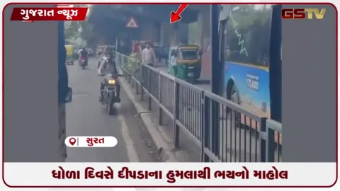 VIDEO: સાપુતારા ઘાટમાં બાઈકસવાર પર દીપડાનો હુમલો, પ્રવાસીઓમાં ફફડાટ