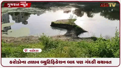 VIDEO: વડોદરાના વેમાલીમાં નર્મદા કેનાલ છતાં પાણીની સમસ્યાથી સ્થાનિકો પરેશાન