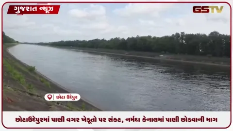 VIDEO: છોટાઉદેપુરમાં વરસાદની અછતથી મોટું સંકટ, નર્મદા કેનાલમાં પાણી છોડવાની માગ