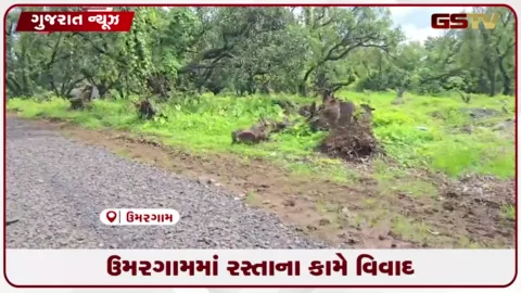 VIDEO: રૂ.50 લાખના રસ્તાના કામ સામે ગ્રામજનોનો વિરોધ, કલેક્ટરને આવેદન