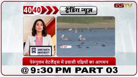 VIDEO: News 40-40/पेरुनगुलम वेटलैंड्स में विदेशी पक्षियों का आना