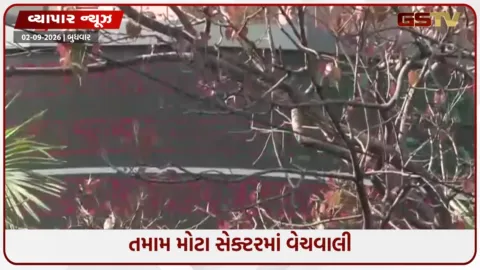 VIDEO: શેરબજારમાં મોટો કડાકો, સેન્સેક્સ 690 પોઈન્ટ ગગડ્યો; નિફ્ટી 24,000ની નીચે