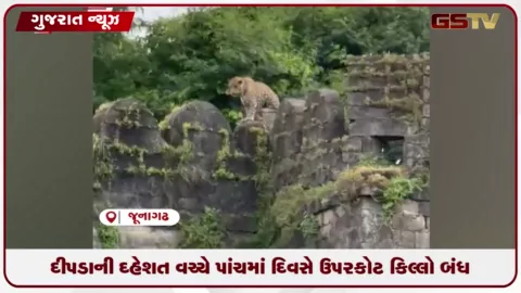 VIDEO: દીપડાની દહેશતના કારણે જુનાગઢનો ઉપરકોટ કિલ્લો સતત પાંચમા દિવસે બંધ રહ્યો