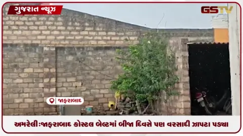 VIDEO: અમરેલી: જાફરાબાદ કોસ્ટલ બેલ્ટમાં બીજા દિવસે પણ વરસાદી ઝાપટા પડ્યા, ખેડૂતોમાં રાહત