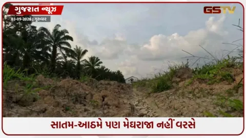 VIDEO: સાતમ-આઠમે પણ મેઘરાજા નહીં વરસે, ગુજરાતમાં હજુ 10 દિવસ મેઘમહેરની શક્યતા નહિવત્