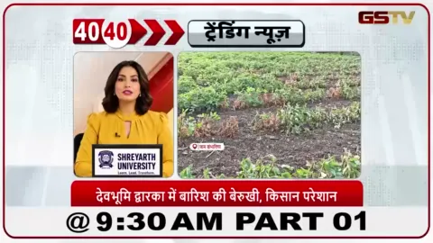 VIDEO: द्वारका में किसानों को सिर्फ़ 6% बारिश होने की वजह से संकट का सामना करना पड़ रहा है; मूंगफली की फसल सूखने के कारण, एक किसान ने फसल को हटाने के लिए 7 बीघा ज़मीन पर हल चला दिया।