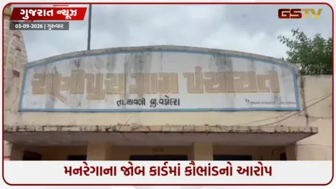 VIDEO: વડોદરાના સાવલીમાં મનરેગાના જોબ કાર્ડમાં કરોડોના કૌભાંડના આક્ષેપ, 374 કાર્ડમાં ગેરરીતિનો દાવો
