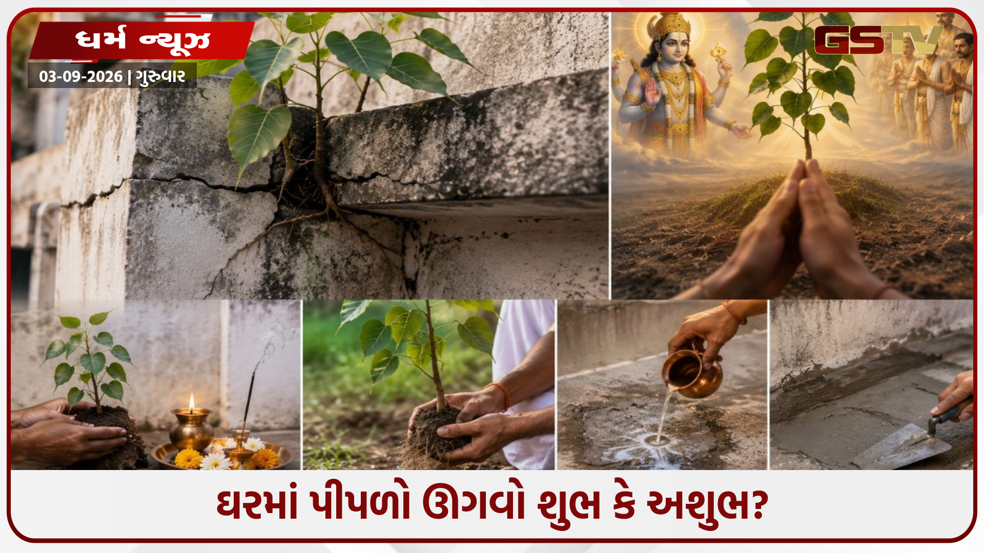 ઘરની દીવાલ કે છત પર ઊગી નીકળ્યો છે પીપળો? જાણો વાસ્તુદોષ અને તેને હટાવવાની શાસ્ત્રોક્ત સાચી રીત