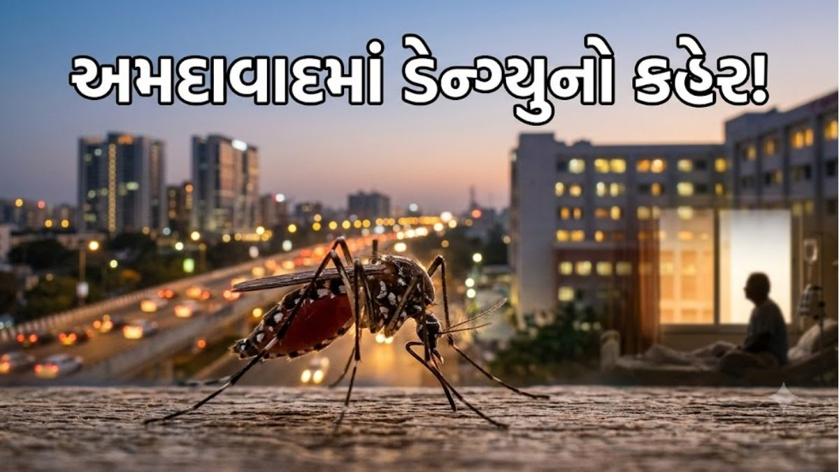 અમદાવાદમાં ડેન્ગ્યુને લઈને ચિંતા વધીઃ બે અઠવાડિયા કેસ પીક પર રહેશે; AMCની બેઠકમાં મોટો ખુલાસો
