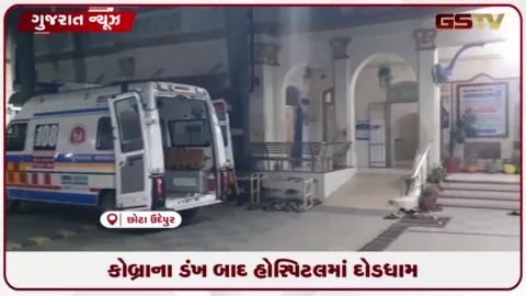 VIDEO: છોટાઉદેપુરમાં જીવદયા પ્રેમી સાપ પકડવા ગયા બાદ કોબ્રાના ડંખથી જીવતો સાપ લઈને હોસ્પિટલ પહોંચ્યા
