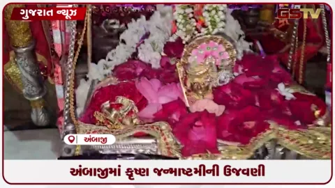 VIDEO: ગુજરાતના પ્રખ્યાત યાત્રાધામ અંબાજી મંદિરમાં ભક્તિભાવપૂર્વક ઉજવાયો શ્રીકૃષ્ણ જન્મોત્સવ