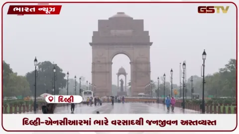 VIDEO: દિલ્હી-એનસીઆરમાં ભારે વરસાદથી જનજીવન અસ્તવ્યસ્ત: હવામાન વિભાગ દ્વારા અનેક રાજ્યોમાં એલર્ટ જારી