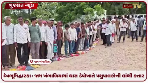 VIDEO: દેવભૂમિ દ્વારકા: જામ ખંભાળિયામાં ઘાસ ડેપો ખાતે પશુપાલકોની લાંબી કતારો, કોંગ્રેસ નેતા પાલ આંબલીયાની રજૂઆતથી નવા કેન્દ્રો શરૂ કરવાની ખાતરી