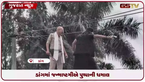 VIDEO: આહવામાં જન્માષ્ટમીની ઉજવણી: પુષ્પા અને શેખાવતના હમશકલોએ મચાવી ધમાલ