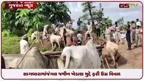 VIDEO: નર્મદામાં જંગલ જમીન ખેડાણ મુદ્દે વન વિભાગ અને ગ્રામજનો આમને-સામને