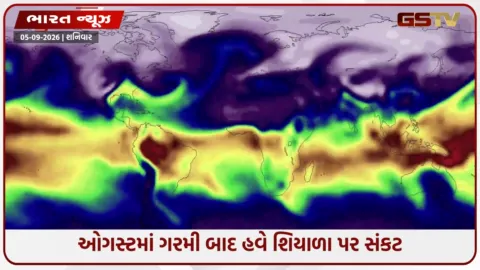 VIDEO: અલ નીનોનો ડબલ એટેક; શિયાળો ટૂંકો થશે અને ગરમી વધશે, ઘઉંના ઉત્પાદનને મોટો ફટકો પડવાની ભીતિ