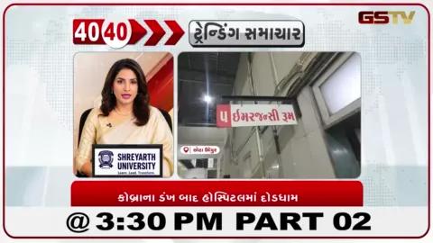 VIDEO: છોટાઉદેપુરમાં કોબ્રાના ડંખ બાદ જીવતો સાપ લઈને હોસ્પિટલ પહોંચ્યા, તબીબોમાં ફફડાટ