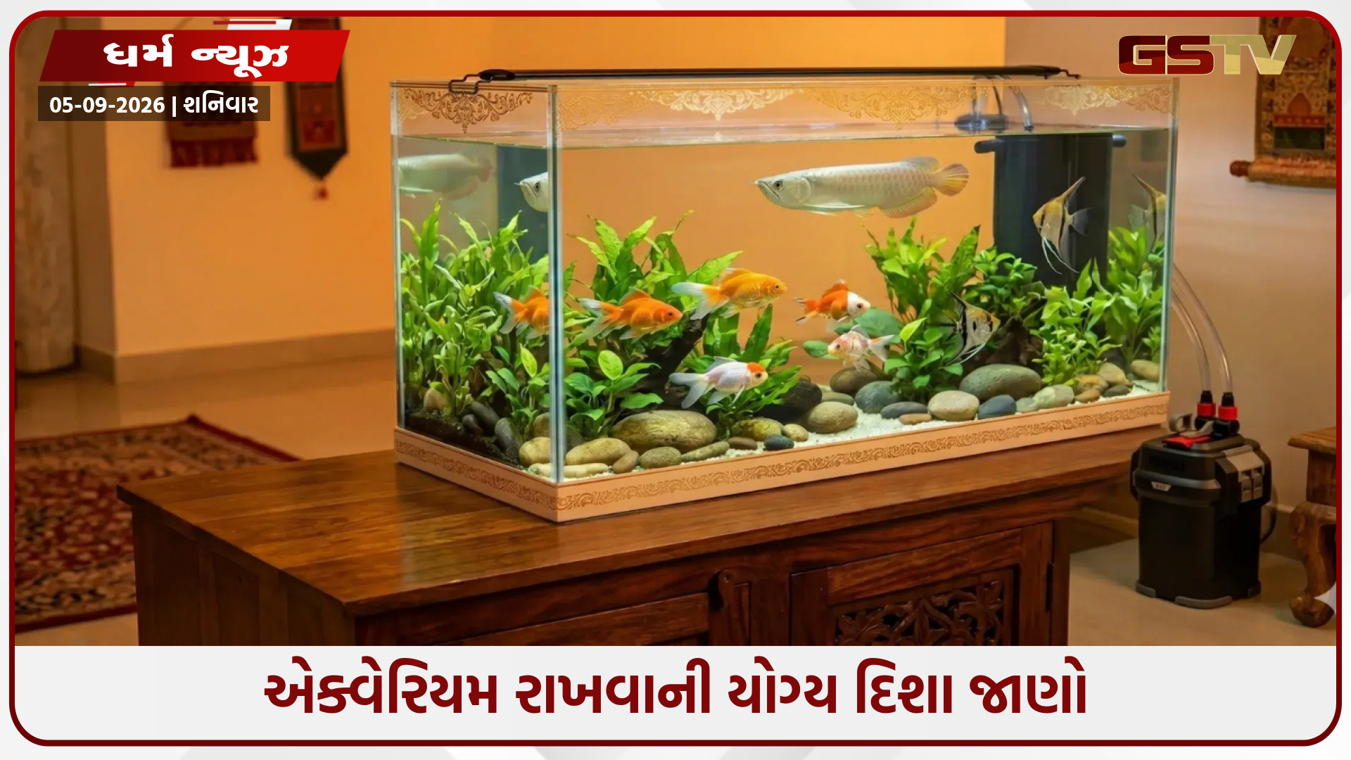 ઘરમાં માછલીઘર મૂકતા પહેલા જાણો યોગ્ય દિશા અને શુભ માછલીના રહસ્યો