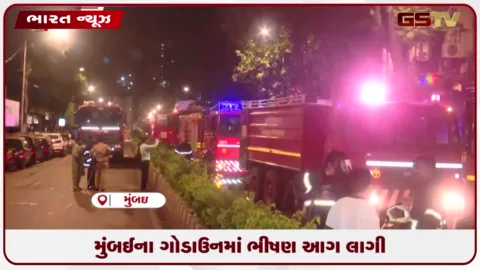 VIDEO: મુંબઈના ગોડાઉનમાં ભીષણ આગ લાગી