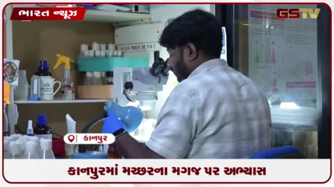 VIDEO: કાનપુરમાં મચ્છરના મગજ પર અભ્યાસ