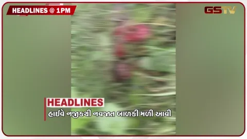 VIDEO: HEADLINE_1.00 PM / હાઈવે નજીકથી નવજાત બાળકી મળી આવી, ચાર બાળકોનું ડૂબવાથી મોત