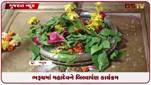 VIDEO: શ્રાવણના અંતિમ સોમવારે પરશુરામ સંગઠન દ્વારા મહાદેવને બિલ્વાર્પણ