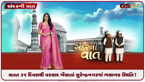 VIDEO: સતત ૩૫ દિવસથી વરસાદ ખેંચાતાં સુરેન્દ્રનગરમાં ભયાનક સ્થિતિ! તલ, મગફળી અને કપાસનો પાક બળીને ભસ્મીભૂત!