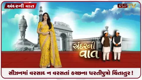 VIDEO: કચ્છમાં વરસાદ ખેંચાતાં ઉભો પાક સુકાયો! સીઝનમાં વરસાદ ન વરસતાં કચ્છના ધરતીપુત્રો ચિંતાતુર!