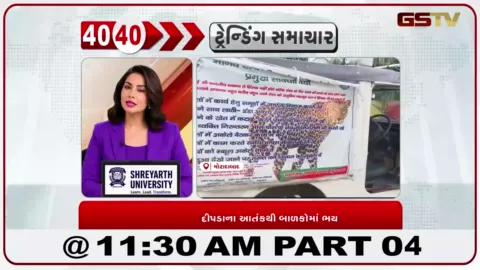 VIDEO: મુરાદાબાદમાં દીપડાની દહેશત વચ્ચે શાળાઓને ટીન શેડમાં ખસેડાઈ