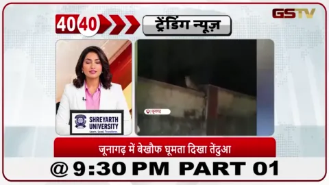 VIDEO: News 40-40/जूनागढ़ में आठ दिनों से तेंदुए घूम रहे हैं, जिससे सैकड़ों महिलाओं में डर है।