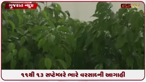 VIDEO: ગુજરાતમાં હવામાન વિભાગની આગાહી: ૧૧ થી ૧૩ સપ્ટેમ્બરે ભારે વરસાદની શક્યતા