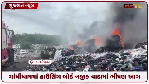 VIDEO: ગાંધીધામમાં હાઉસિંગ બોર્ડ નજીક વાડામાં ભીષણ આગ