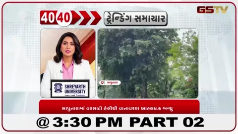 VIDEO: ડાંગમાં વહેલી સવારથી વરસાદી માહોલથી શીત લહેર, પાકને જીવતદાન મળતા ખેડૂતોમાં ભારે ખુશી.